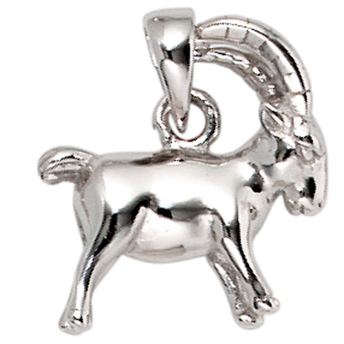 Capricorn Zodiac Pendant 925 Silver